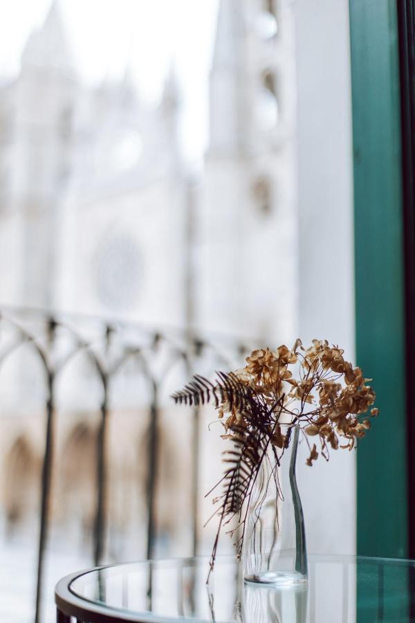 ホテル Albany Ancha レオン エクステリア 写真 Dried flowers